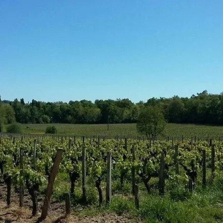בית נופש House De Robin Saint-Sulpice-de-Faleyrens